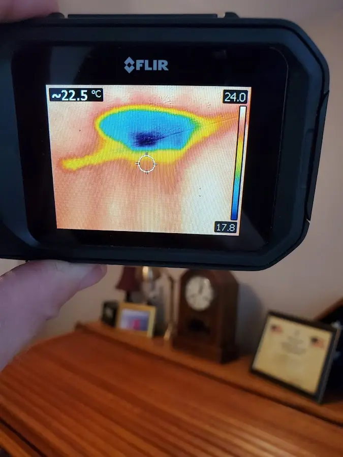 Thermal imaging inspection for water damage in Reminderville